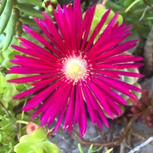 Meet your Posher, Vicky